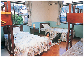 日光 霧降高原 ペットと泊まれる宿 ペンション アニマーレ In 日光 ゲストルーム